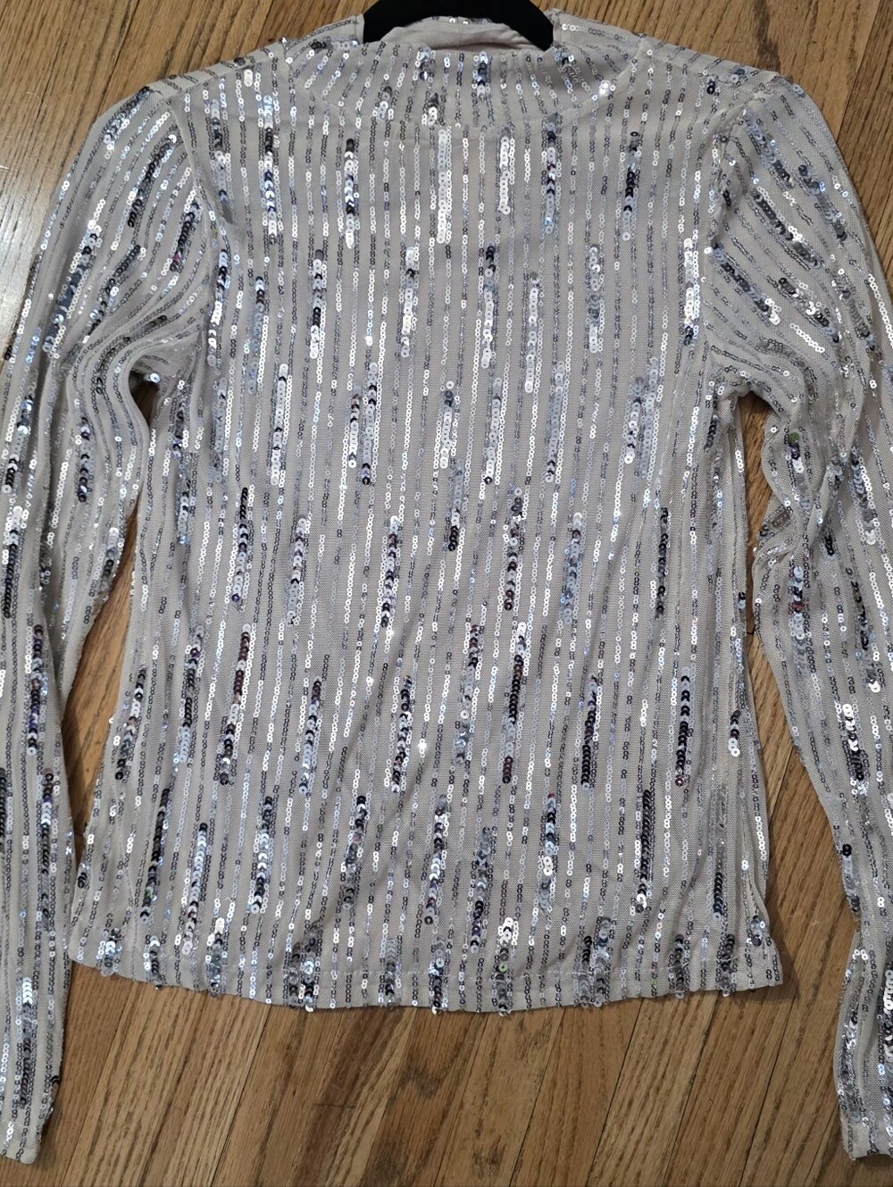 Sanctuary Champagne Silver Sequin Long Sleeve Top XXS NWT